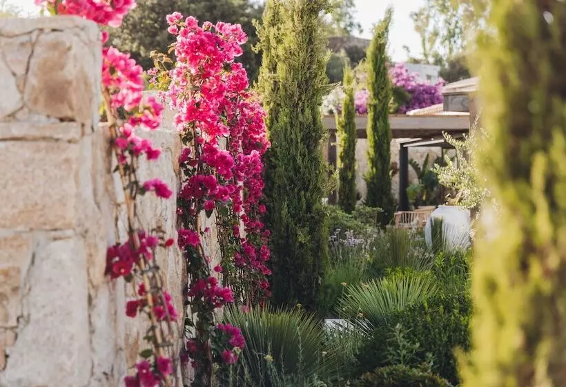 ホテル Casa Paradisu