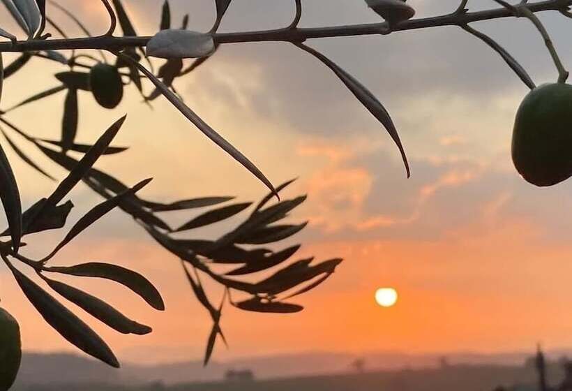 فندق Original Roadsmans Wagon, With Breathtaking Views