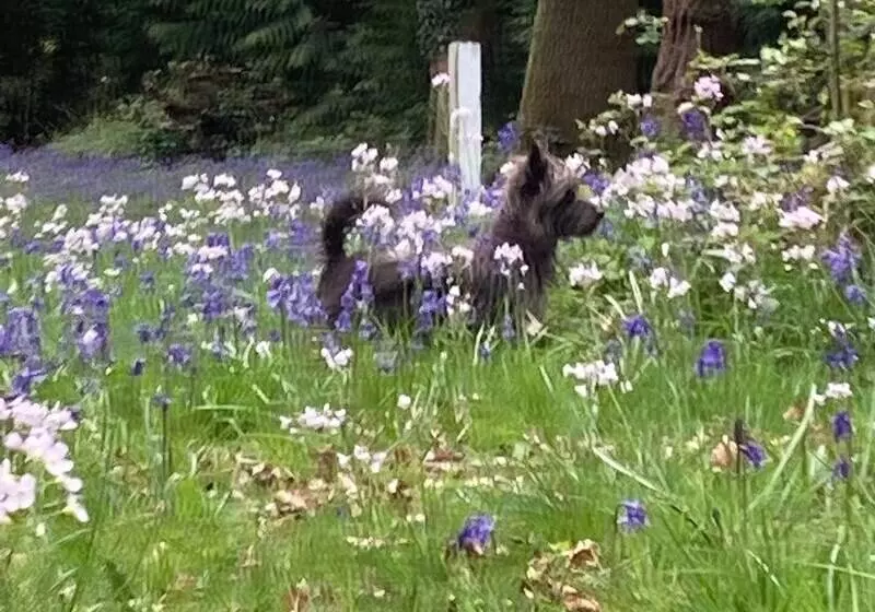 Hotelli Original Roadsmans Wagon, With Breathtaking Views