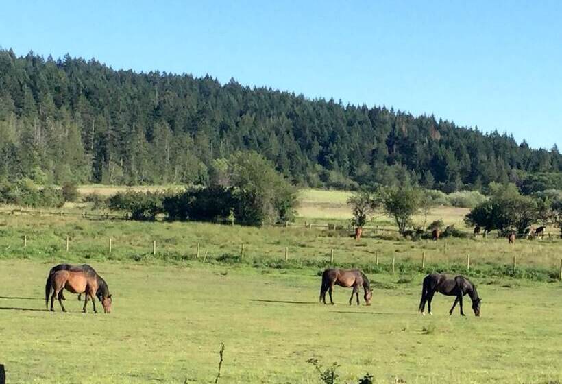 בית מלון כפרי Woodstone Manor Inc