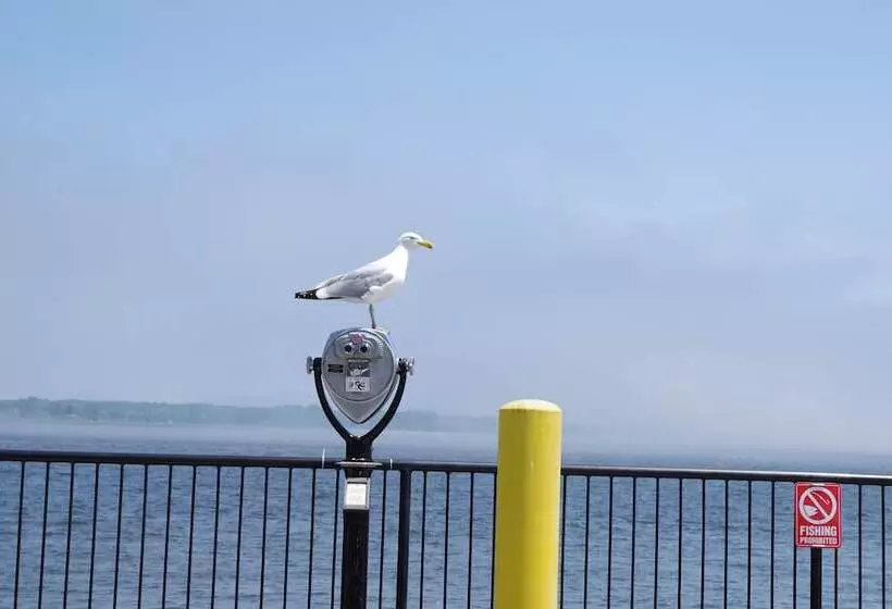 James Pharmacy Bed And Breakfast