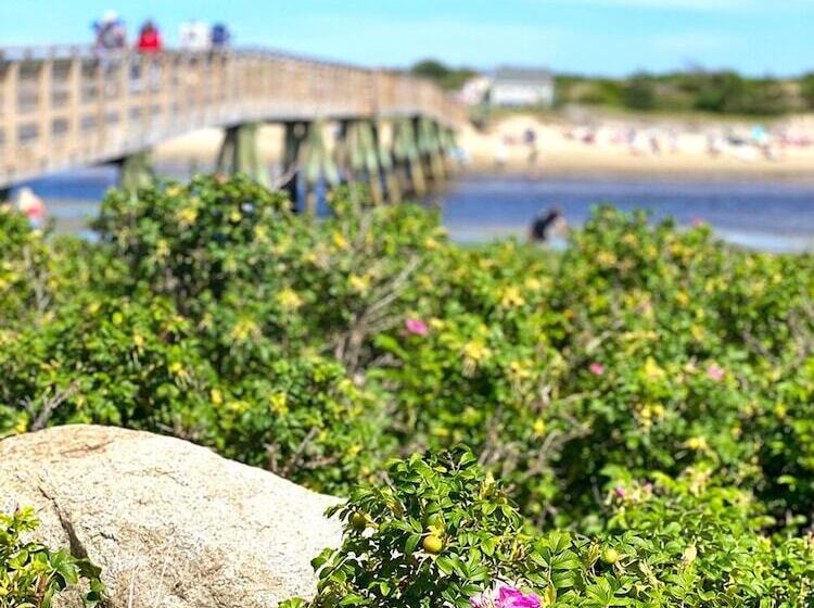 モーテル Bourne S Ocean Acres Ogunquit