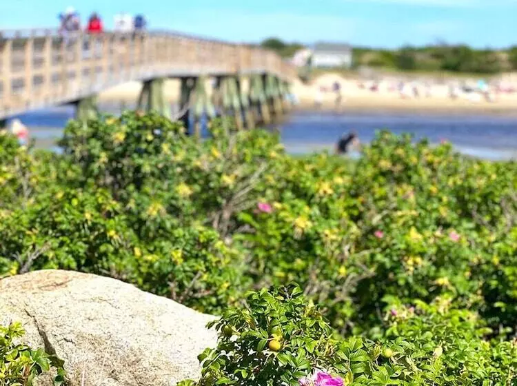 モーテル Bourne S Ocean Acres Ogunquit