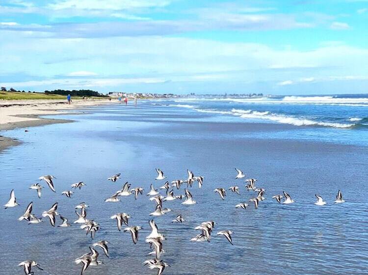 モーテル Bourne S Ocean Acres Ogunquit