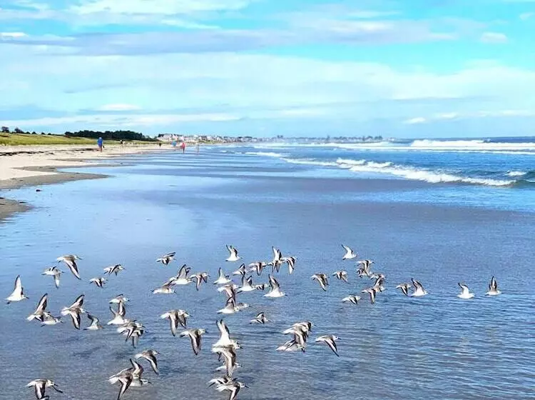 モーテル Bourne S Ocean Acres Ogunquit