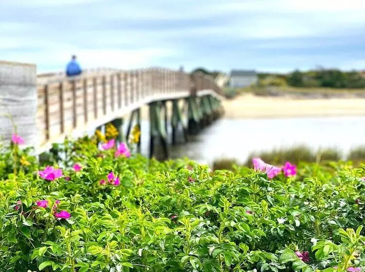 モーテル Bourne S Ocean Acres Ogunquit