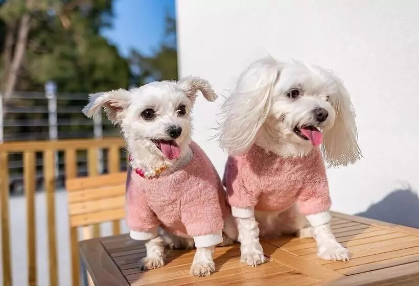 پانسیون Yeosu Nukim Poolvilla