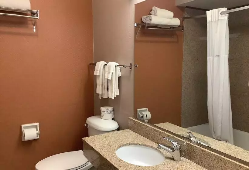 Silver Spur Vintage Inn & Suites