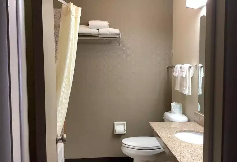 Silver Spur Vintage Inn & Suites