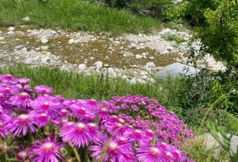 Sogeumgang Naetmulsori Pension