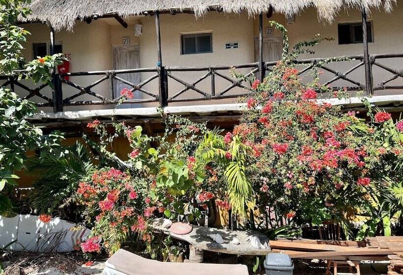 Hotel Beach Club Escape Holbox