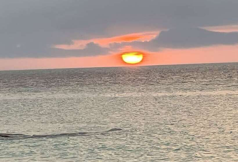 Hotel Beach Club Escape Holbox