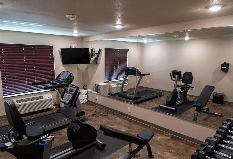 Hotelli Cobblestone Inn & Suites  Springfield