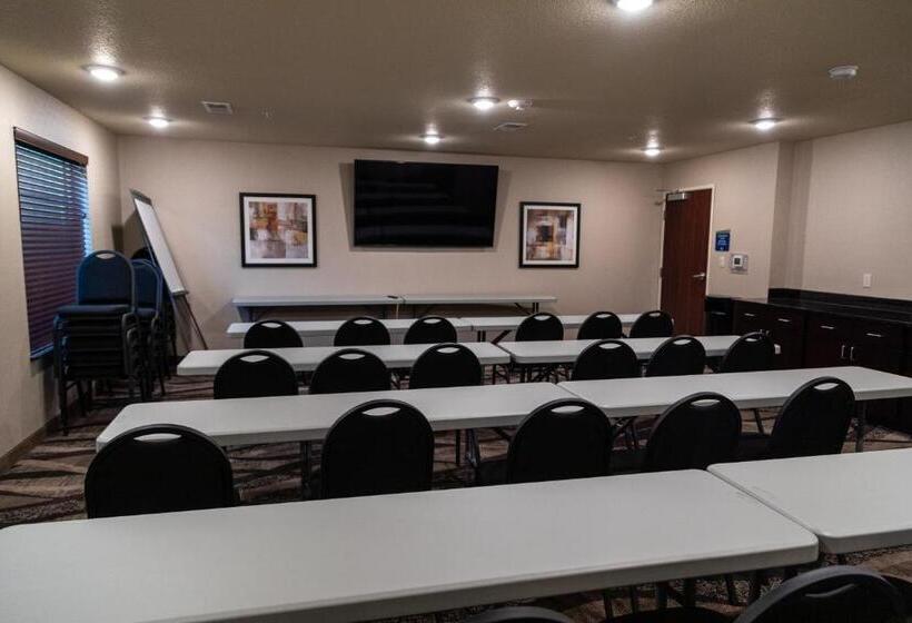 فندق Cobblestone Inn & Suites  Springfield