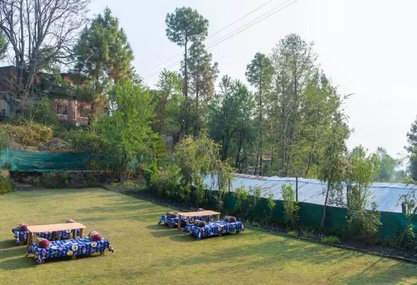 ホテル Goroomgo Bloom Homestay Cafe Almora