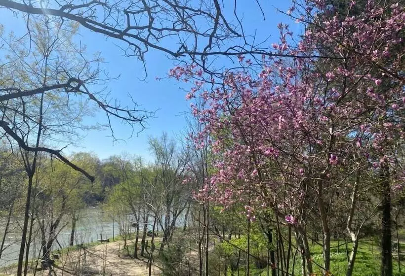 ホテル Ouachita River Haven