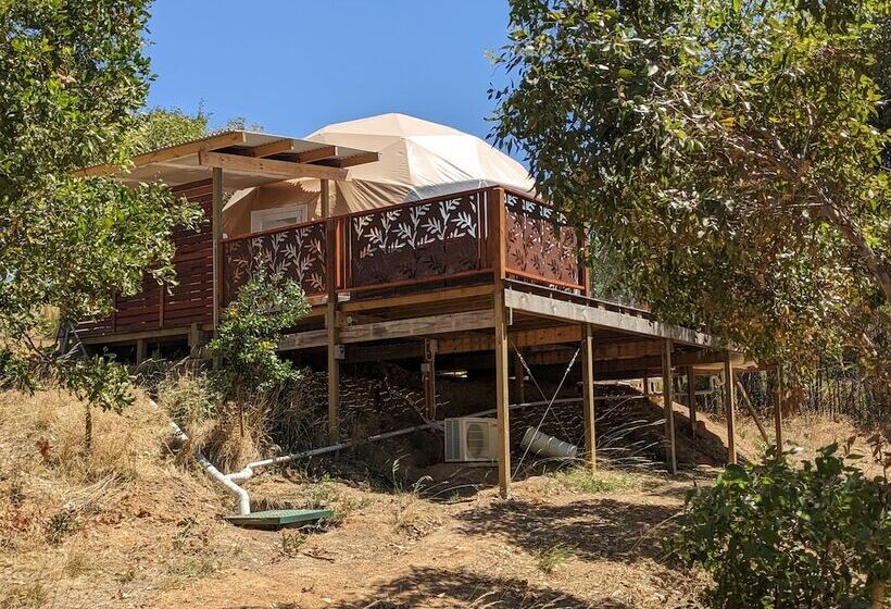 בית מלון כפרי Maple Park