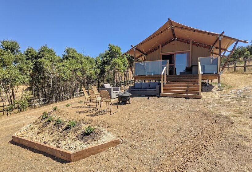 בית מלון כפרי Maple Park