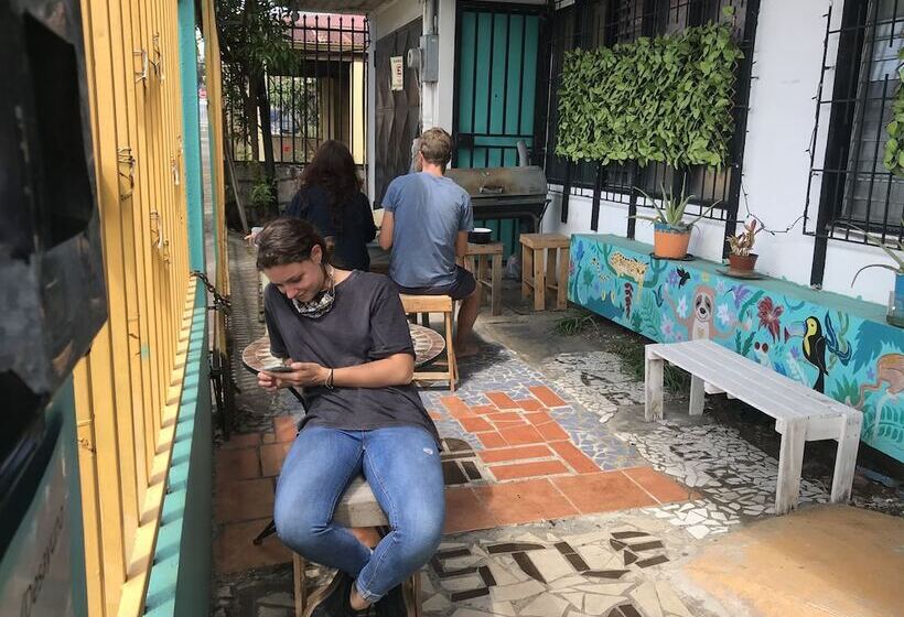 In The Wind Hostel And Guesthouse