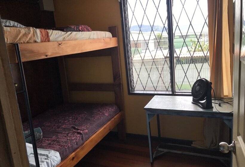 In The Wind Hostel And Guesthouse