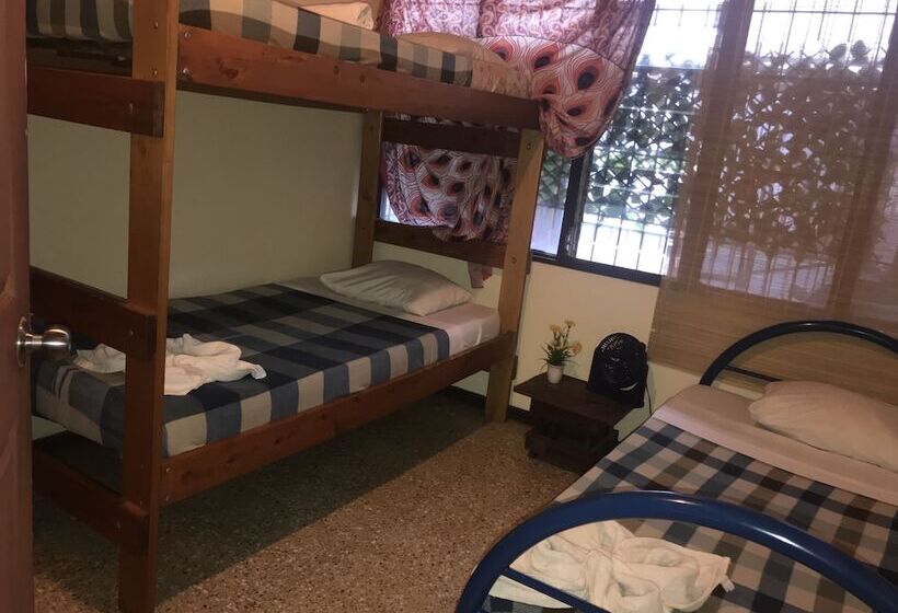 In The Wind Hostel And Guesthouse