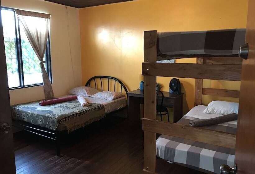 In The Wind Hostel And Guesthouse