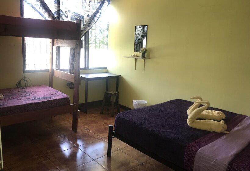 In The Wind Hostel And Guesthouse