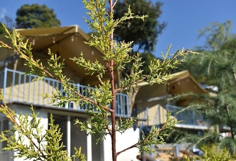 ペンション Camp Cedar