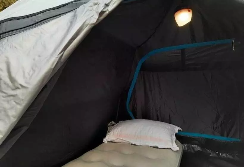 ペンション Camp Cedar