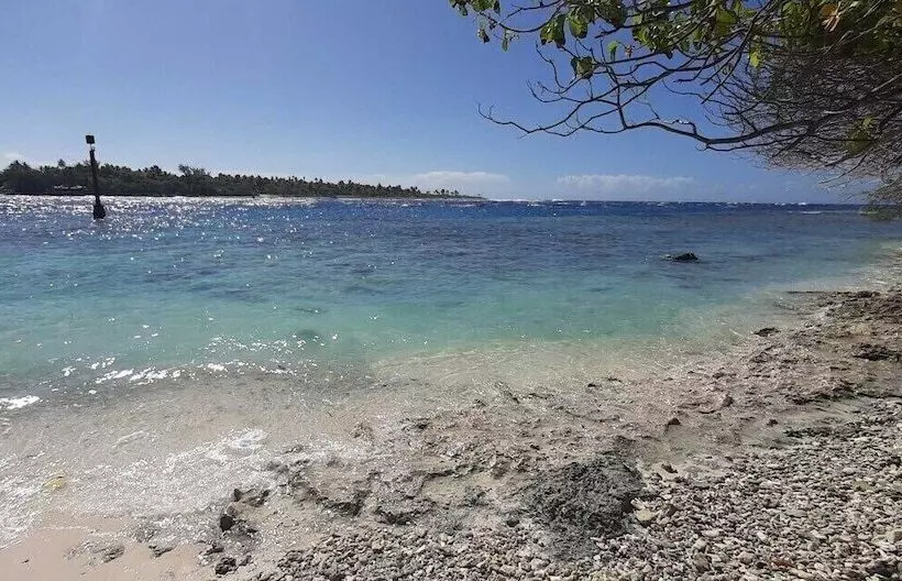 تختخواب و صبحانه Moana Breeze Rangiroa   Rental Car Included   Air Conditioning   Wi Fi