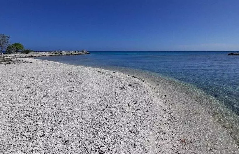 تختخواب و صبحانه Moana Breeze Rangiroa   Rental Car Included   Air Conditioning   Wi Fi