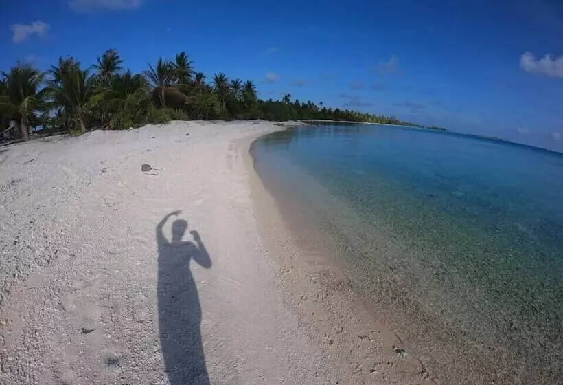 تختخواب و صبحانه Moana Breeze Rangiroa   Rental Car Included   Air Conditioning   Wi Fi