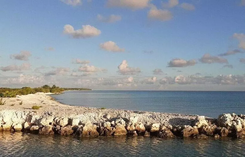 تختخواب و صبحانه Moana Breeze Rangiroa   Rental Car Included   Air Conditioning   Wi Fi