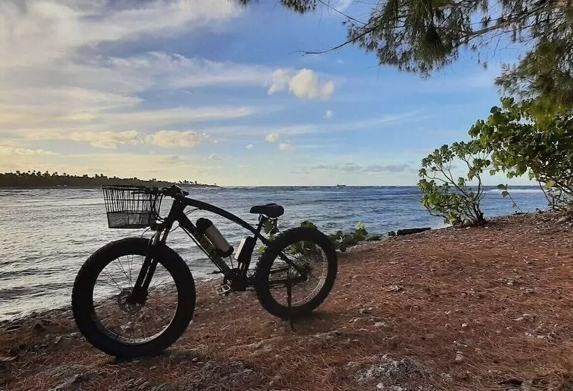 تختخواب و صبحانه Moana Breeze Rangiroa   Rental Car Included   Air Conditioning   Wi Fi