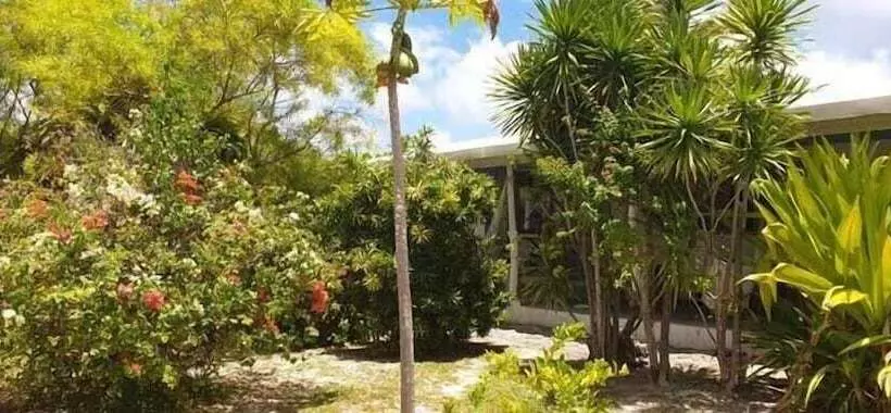 تختخواب و صبحانه Moana Breeze Rangiroa   Rental Car Included   Air Conditioning   Wi Fi