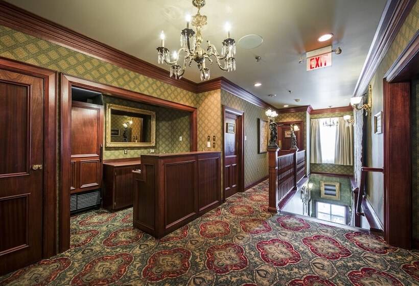 فندق فئة نجمة واحدة The Guv’nor