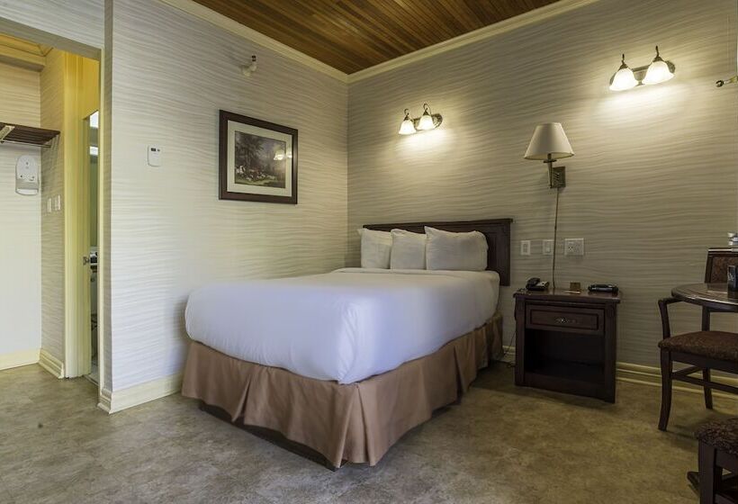 فندق فئة نجمة واحدة The Guv’nor