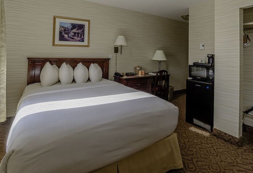 فندق فئة نجمة واحدة The Guv’nor