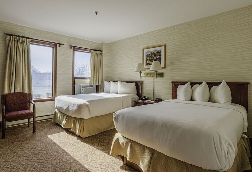 فندق فئة نجمة واحدة The Guv’nor