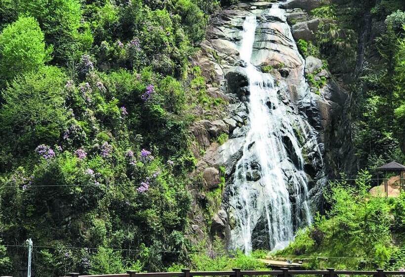 Отель Grand Selale