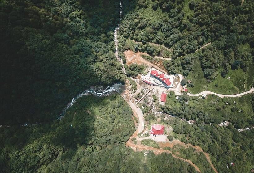 Отель Grand Selale