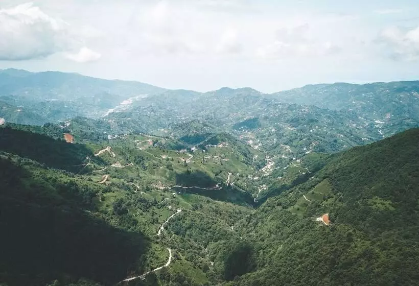 ホテル Grand Selale