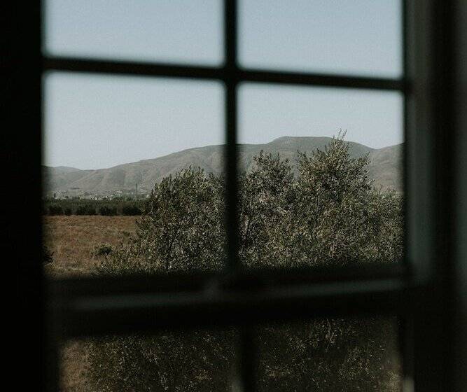 酒店 Hacienda Los Olivos