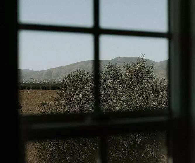 Hotelli Hacienda Los Olivos