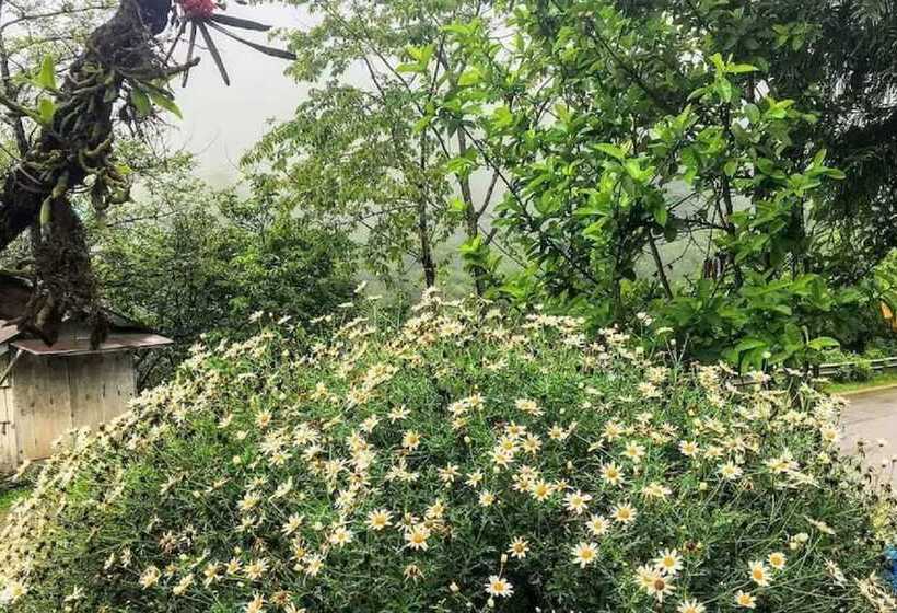 Hotelli Goroomgo Imchen Guest House Kohima