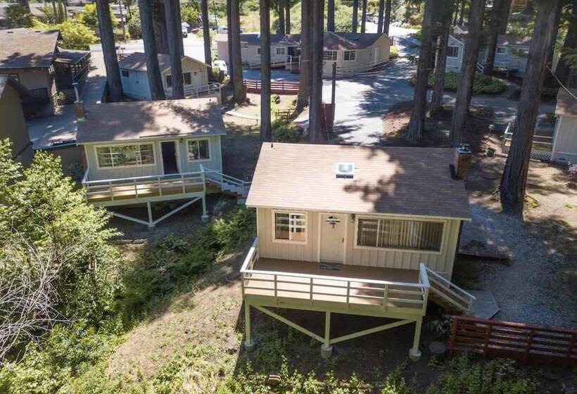 酒店 Masood S Lodge