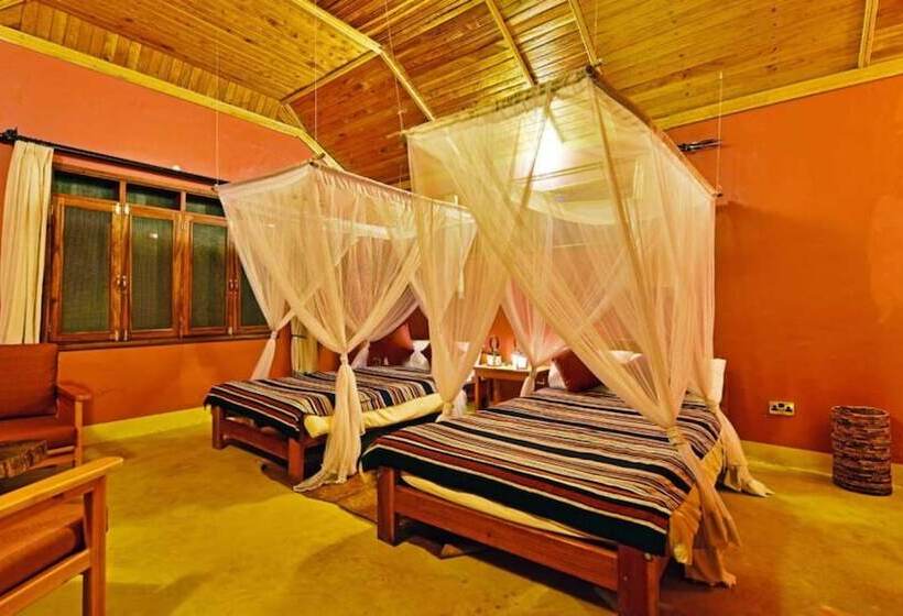 هتل Primate Lodge