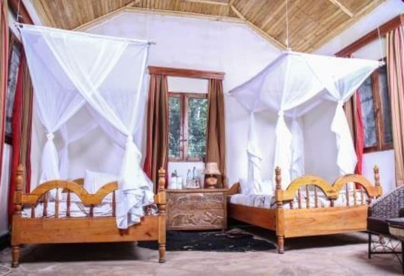 هتل Primate Lodge