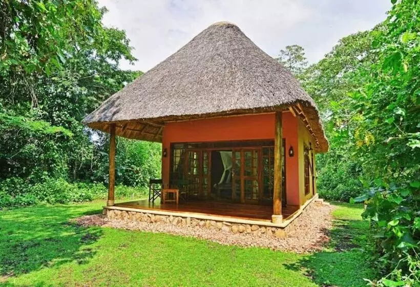 هتل Primate Lodge