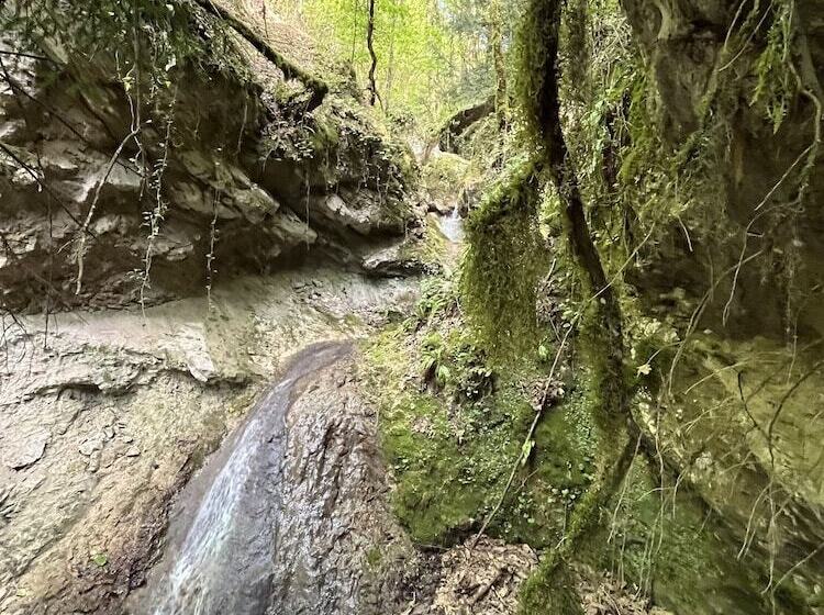 교외 호텔 Il Borgo Incantato Dependance